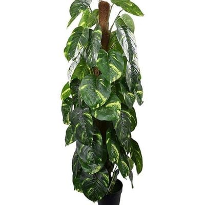 Nearly Natural Artificial Palm Plant Green/Brown/Black 160cm