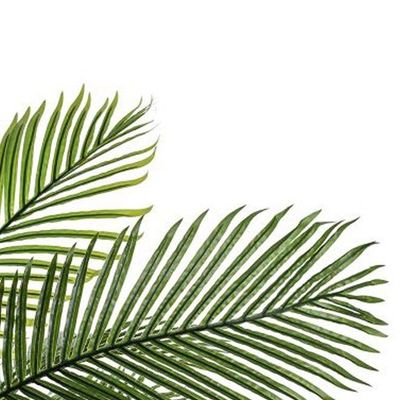 Artificial Bamboo Palm Tree Green 210x150cm