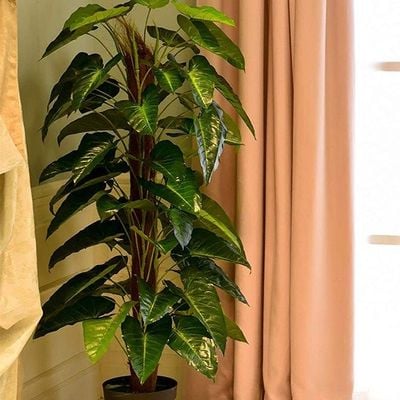 Artificial Philodendron Scandens Plant With Pot Green/Brown/Black 170x70cm