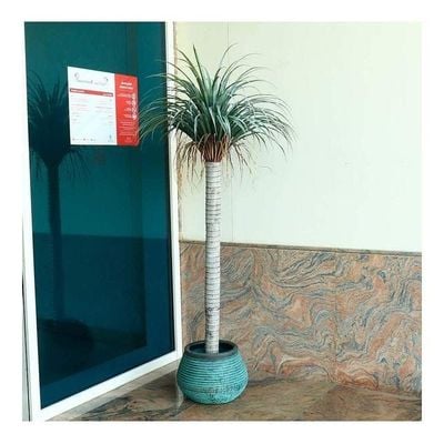 Artificial Yucca Plant Green 185x90x90cm