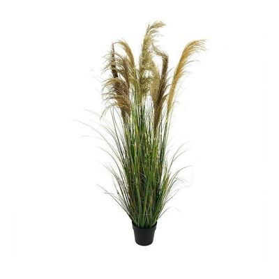 Artificial Plant With Natural Dry Pampas Leaves Green 165x80x80cm