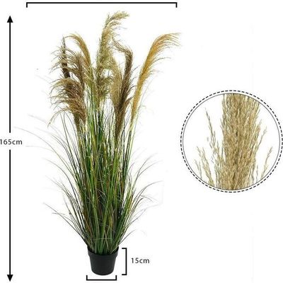 Artificial Plant With Natural Dry Pampas Leaves Green 165x80x80cm