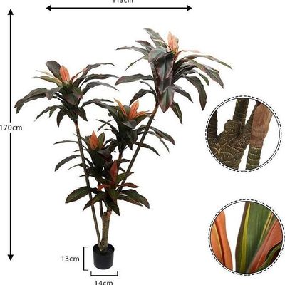 Artificial Cordyline Fruticosa Plant Multicolour