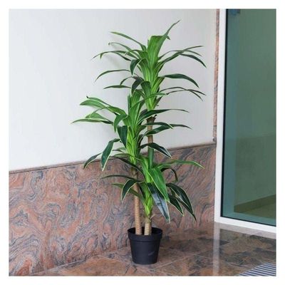 Artificial Corn Stalk Dracaena Plant