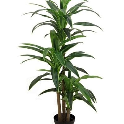 Artificial Corn Stalk Dracaena Plant