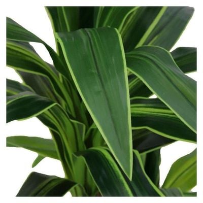 Artificial Corn Stalk Dracaena Plant