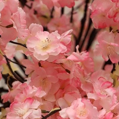 Artificial Cherry Blossom Tree Outdoor 1.6 Meters