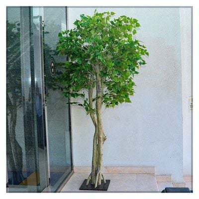 Artificial Birch Leaf Plant 2.5 Meters Tall