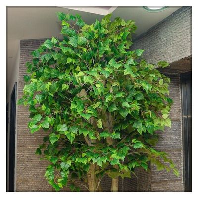 Artificial Birch Leaf Plant 2.5 Meters Tall