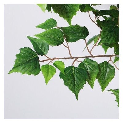 Artificial Birch Leaf Plant 2.5 Meters Tall