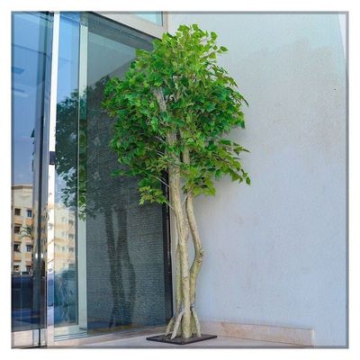 Artificial Birch Leaf Plant 2.5 Meters Tall