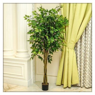 Artificial Ficus Plant 2 Meters Tall