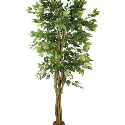 Artificial Ficus Plant 2 Meters Tall
