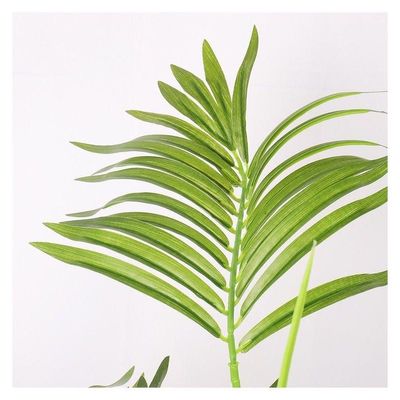Artificial Broadleaf Lady Palm Tree About 1.5 Meter High