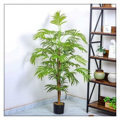 Artificial Broadleaf Lady Palm Tree About 1.5 Meter High