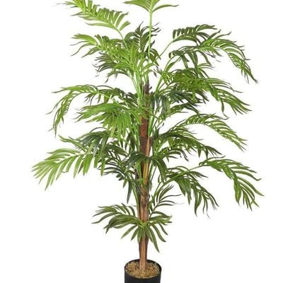 Artificial Broadleaf Lady Palm Tree About 1.5 Meter High