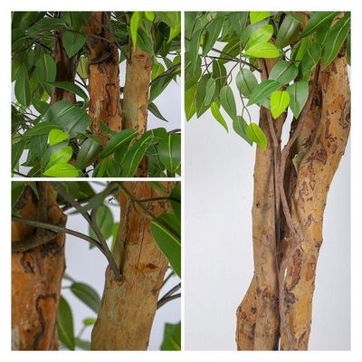 Artificial Ficus plant