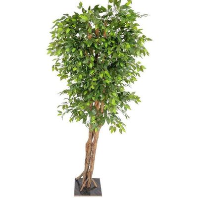 Artificial Ficus plant