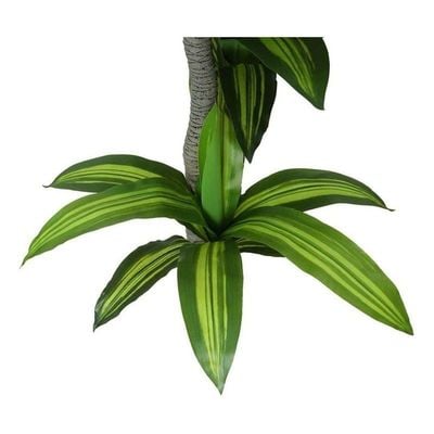 3 Rods Artificial Dracaena Fragrans Plant 1.8 Meters