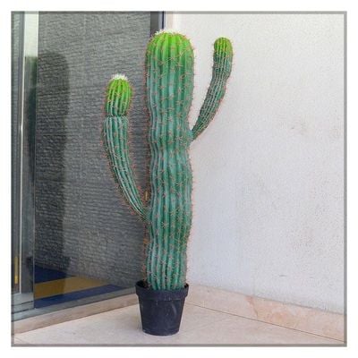 Artificial Cactus Plant