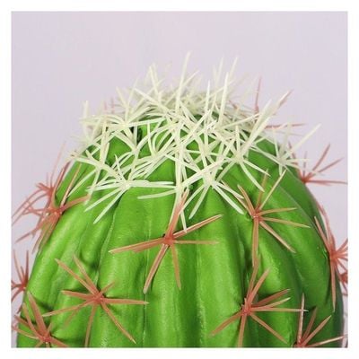 Artificial Cactus Plant