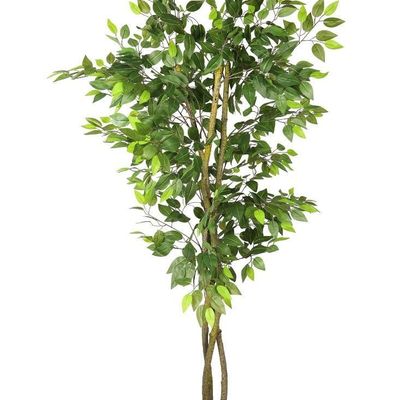 Artificial Ficus Plant 1.8 Meters Tall