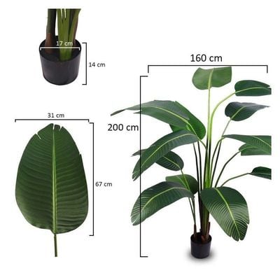 Artificial Banana Tree Houseplant Bird of Paradise 2 Meter High