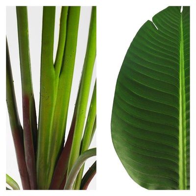 Artificial Banana Tree Houseplant Bird of Paradise 2 Meter High