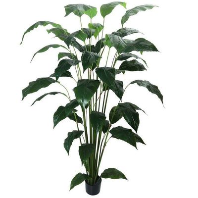 Artificial Peace Lily Plant 2.1 meter high