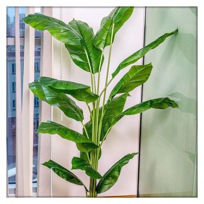 Artificial Peace Lily Plant 1.7 Meter High