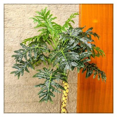 Artificial Plant 2 Meter High