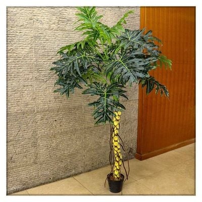 Artificial Plant 2 Meter High