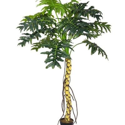 Artificial Plant 2 Meter High