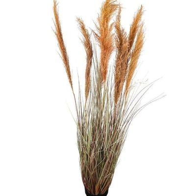 Artificial Grass Plant With Natural Dry Pampas Grass Branches 1.8 Meters