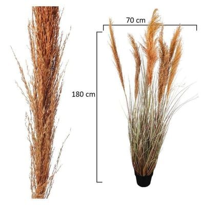 Artificial Grass Plant With Natural Dry Pampas Grass Branches 1.8 Meters