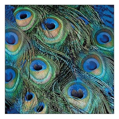 Ambiente Large Peacock Napkins