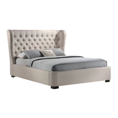 Webster Designer Bed With Mattress Queen Size 160x200 cm