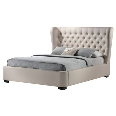 Webster Designer Bed With Mattress Queen Size 160x200 cm