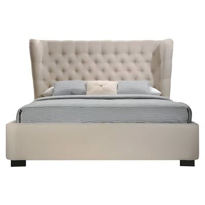 Webster Designer Bed With Mattress Queen Size 160x200 cm