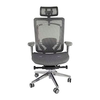 Mahmayi Height-adjustable Sleek Executive Office Chairs for Laptop Computer Workstation at Home (Ultimate High Back Ergonomic Grey)