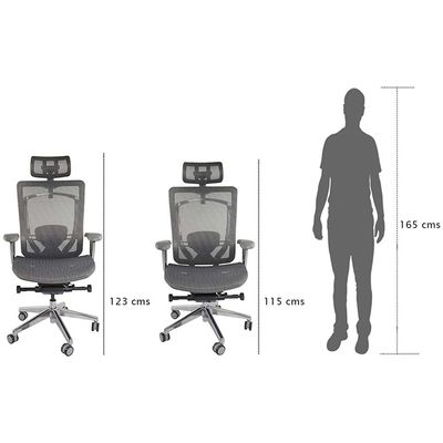 Mahmayi Height-adjustable Sleek Executive Office Chairs for Laptop Computer Workstation at Home (Ultimate High Back Ergonomic Grey)