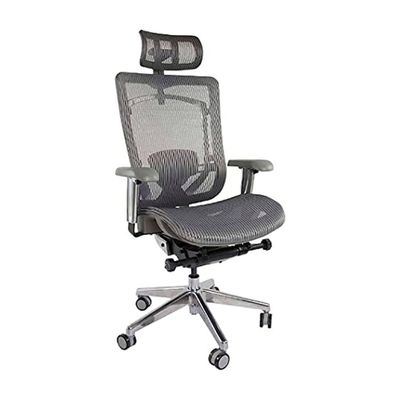 Mahmayi Height-adjustable Sleek Executive Office Chairs for Laptop Computer Workstation at Home (Ultimate High Back Ergonomic Grey)