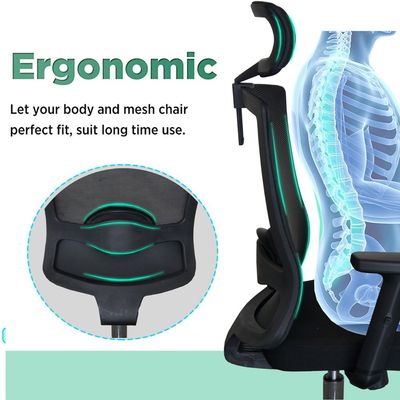 Mahmayi Ergonomic Adjustable Office Chair with Adjustable Arm Rests, Lumbar Support, Contoured Back, and Seat Cushion -Comfortable Seating Solution for Office and Home - SleekLine T01B Mesh Chair - Black