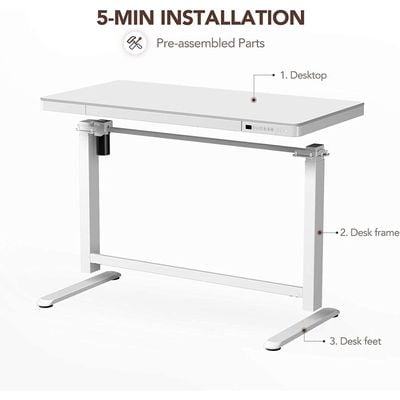 Flexispot All-in-One Height Adjustable Standing Desk - Stable Desk Frame, Up/Down Movement, 4 Memory Presets, Child Lock, and 3 USB Charging Ports for Efficient Work and Device Charging - White by Mahmayi