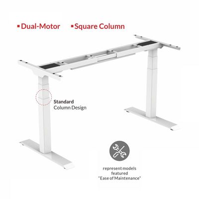 Mahmayi Flexispot Standing Desk Dual Motor 3 Stages Electric Stand Up Desk 160cmx80cm Height Adjustable Desk Home Office Desk White Frame - White