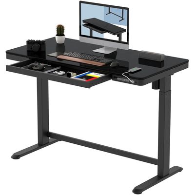 Flexispot Black Glass Top All-in-One Height Adjustable Standing Desk - Stable Desk Frame, Up/Down Movement, 4 Memory Presets, Child Lock, and 3 USB Charging Ports for Efficient Work and Device Charging by Mahmayi