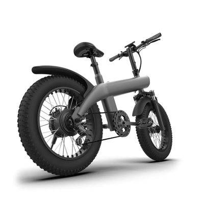 MYTS Speed Pro 48V Electric Bicycle offroad Fat tire 20inch 750watts