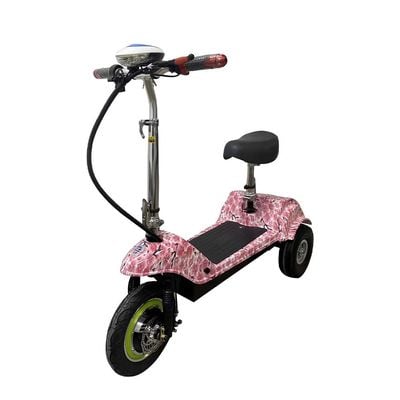 MYTS Electric Scooter 36v Brushless motor