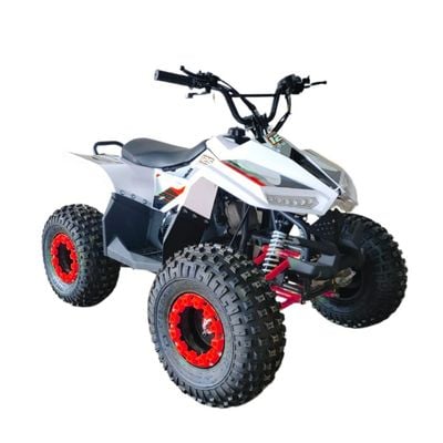 MYTS 80CC Atv quad bike fully automatic offraod Red