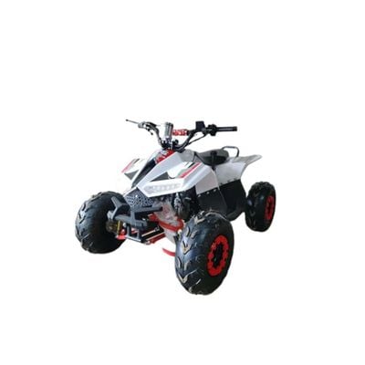 MYTS 80CC Atv quad bike fully automatic offraod Red